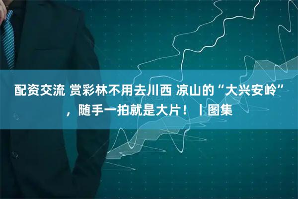 配资交流 赏彩林不用去川西 凉山的“大兴安岭”，随手一拍就是大片！丨图集