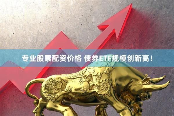 专业股票配资价格 债券ETF规模创新高！