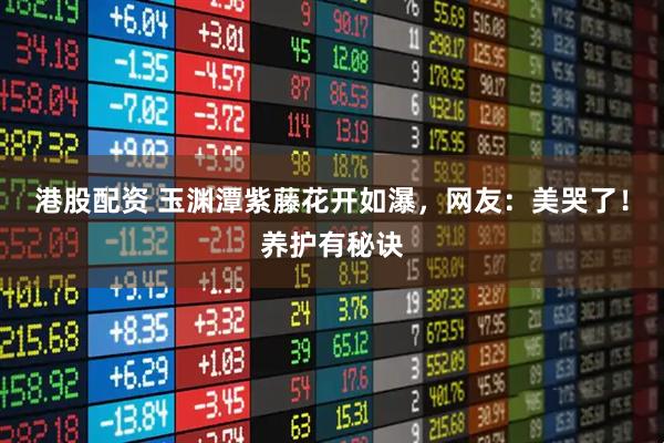 港股配资 玉渊潭紫藤花开如瀑，网友：美哭了！养护有秘诀